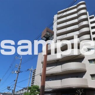加島駅前アーバンコンフォート(2,590万円/2ＳＬＤＫ/9階地上12階建て)
