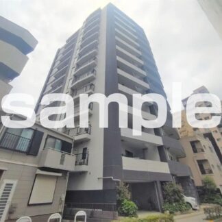 プレシス北千住(5,990万円/3ＬＤＫ/11階地上13階建て)